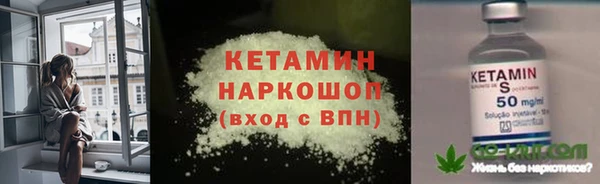 трава Белокуриха