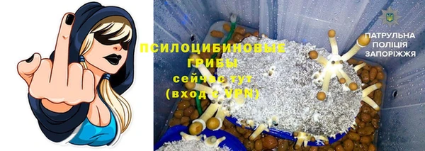 эйфоретик Беломорск