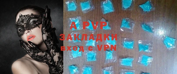 трава Белокуриха