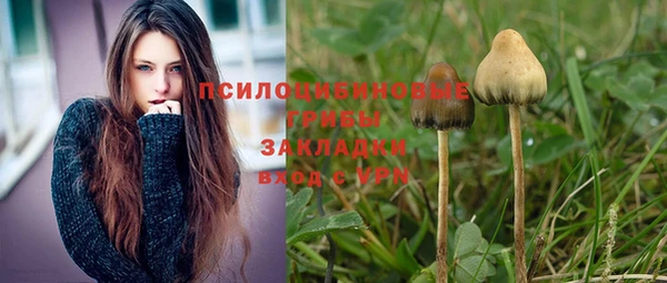 эйфоретик Беломорск
