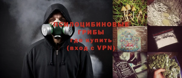 трава Белокуриха