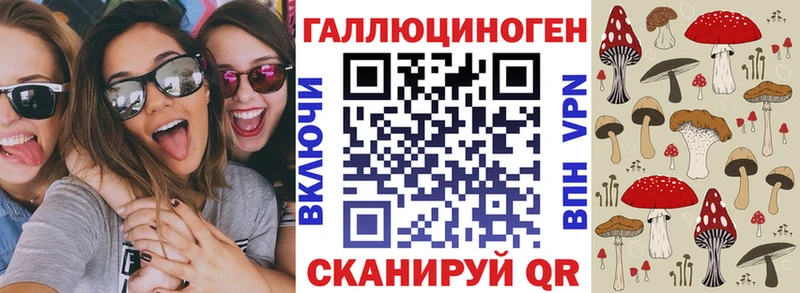 купить закладку  Онега  Псилоцибиновые грибы MAGIC MUSHROOMS 