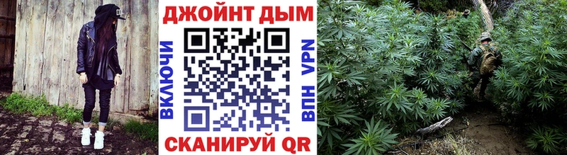 Бошки марихуана гибрид  Онега 